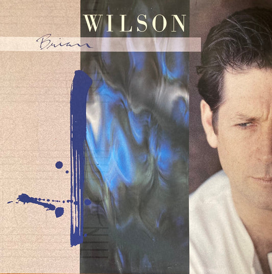 Brian Wilson : Brian Wilson (LP, Album, Spe)