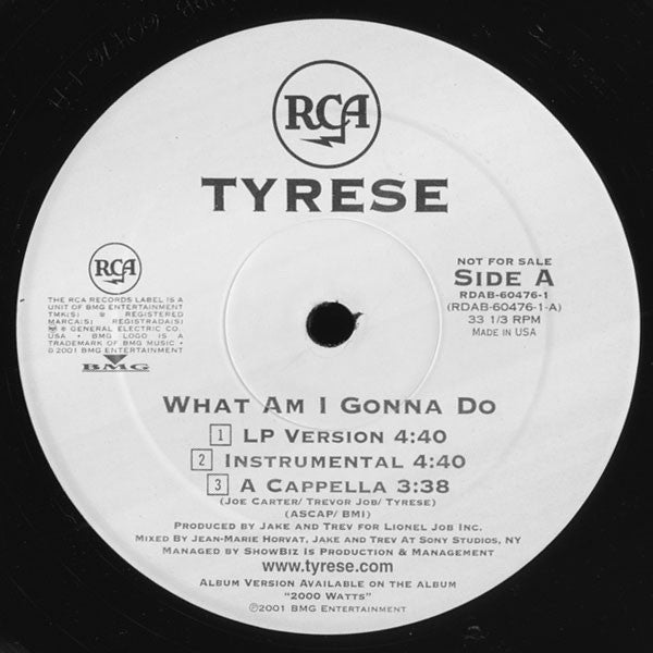 Tyrese : What Am I Gonna Do / Off The Heezy (12", Promo)