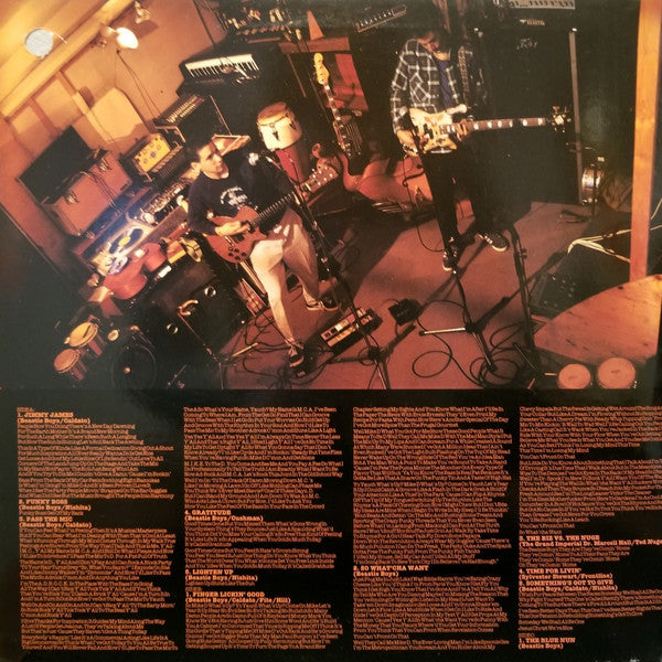 Beastie Boys : Check Your Head (2xLP, Album, Gat)