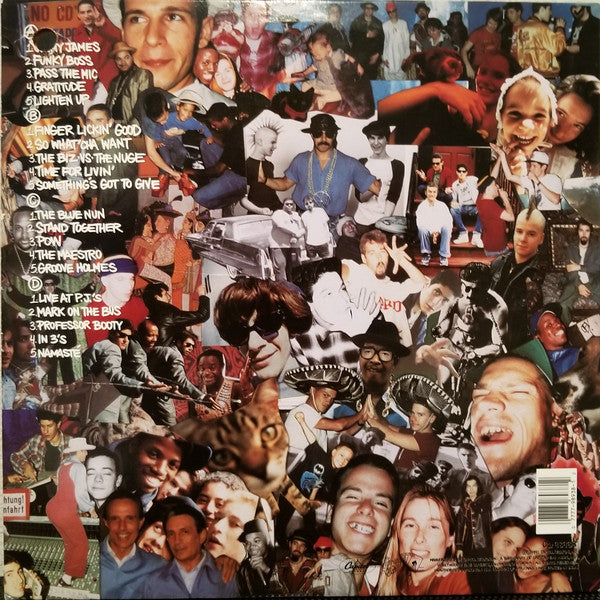 Beastie Boys : Check Your Head (2xLP, Album, Gat)