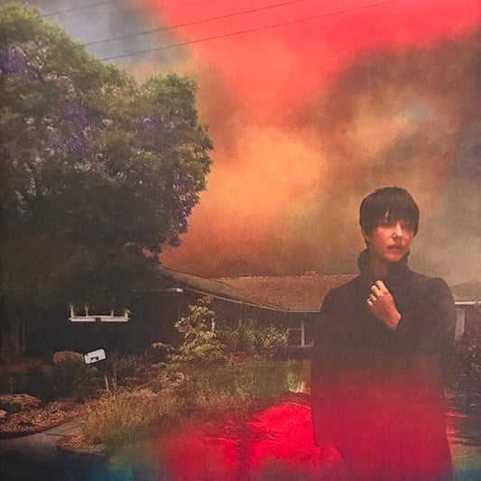 Sharon Van Etten : We've Been Going About This All Wrong (LP, Album, Club, Pur)