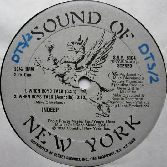 Indeep : When Boys Talk (12")