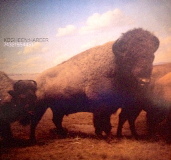 Kosheen : Harder (12")