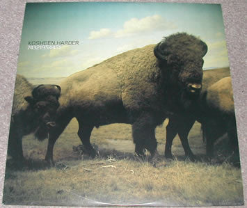 Kosheen : Harder (12")