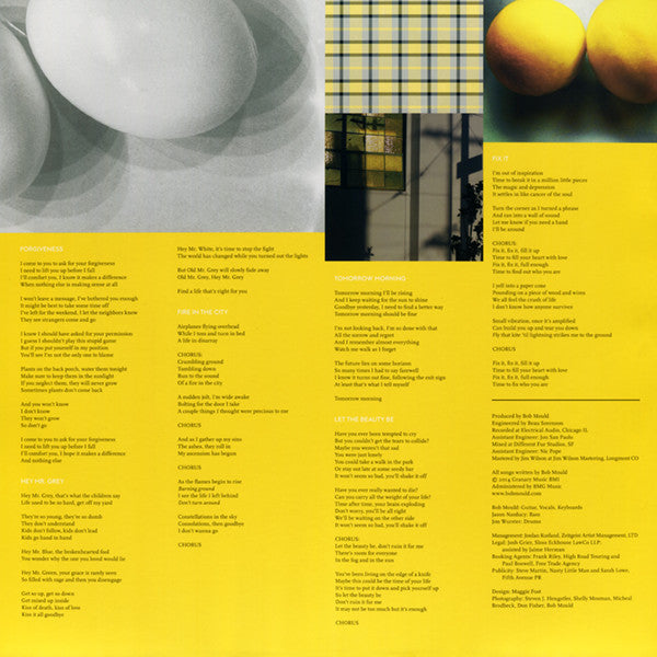 Bob Mould : Beauty & Ruin (LP, Album)