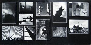 Pink Floyd : Animals (LP, Album, Ter)