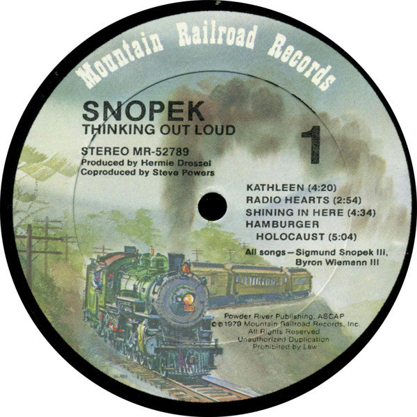 Snopek : Thinking Out Loud (LP, Album)